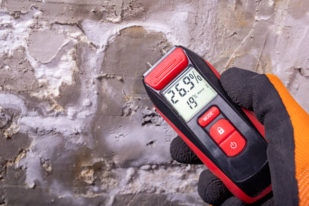 Best Affordable Mold Removal  in Menands, NY