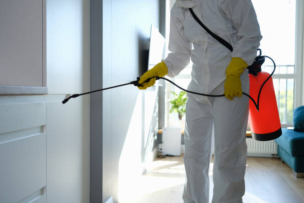 Best Mold Remediation Experts  in Menands, NY