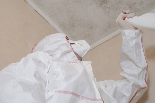 Best Emergency Mold Removal  in Menands, NY