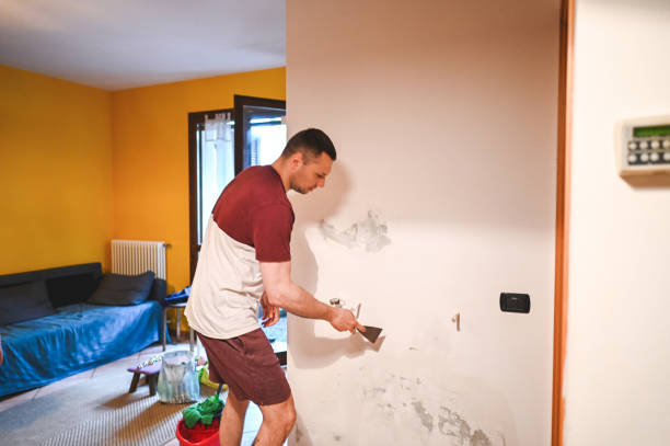 Best Mold Cleaning Services  in Menands, NY